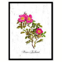 Load image into Gallery viewer, Pink Rose Flower Canvas Print with Picture Frame Floral Home Decor Wall Art Living Room Decoration Gifts