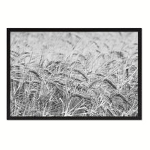 Load image into Gallery viewer, Golden rye paddy ready for harvest Black and White Landscape decor, National Park, Sightseeing, Attractions, Black Frame