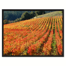 Load image into Gallery viewer, Sonoma Wine Country Landscape Photo Canvas Print Pictures Frames Home Décor Wall Art Gifts
