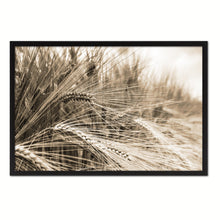 Load image into Gallery viewer, Nutritious Nature Barley Paddy Field Sepia Landscape decor, National Park, Sightseeing, Attractions, Black Frame
