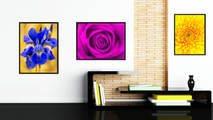 Purple Rose Flower Framed Canvas Print Home Décor Wall Art