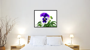 Pansy Flower Framed Canvas Print Home Décor Wall Art