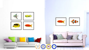 Orange Tropical Fish Painting Reproduction Gifts Home Decor Wall Art Canvas Prints Picture Frames