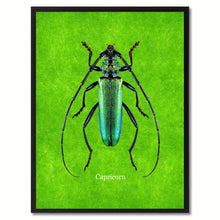 Load image into Gallery viewer, Capricorn Green Canvas Print, Picture Frames Home Decor Wall Art Gifts
