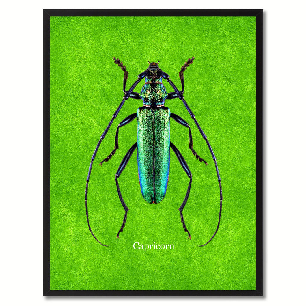 Capricorn Green Canvas Print, Picture Frames Home Decor Wall Art Gifts
