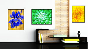 Green Chrysanthemum Flower Framed Canvas Print Home Décor Wall Art