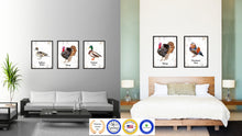 Load image into Gallery viewer, Turkey Bird Canvas Print, Black Picture Frame Gift Ideas Home Decor Wall Art Decoration
