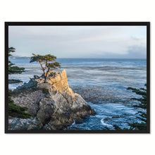 Load image into Gallery viewer, Monterey Cypress Tree Landscape Photo Canvas Print Pictures Frames Home Décor Wall Art Gifts
