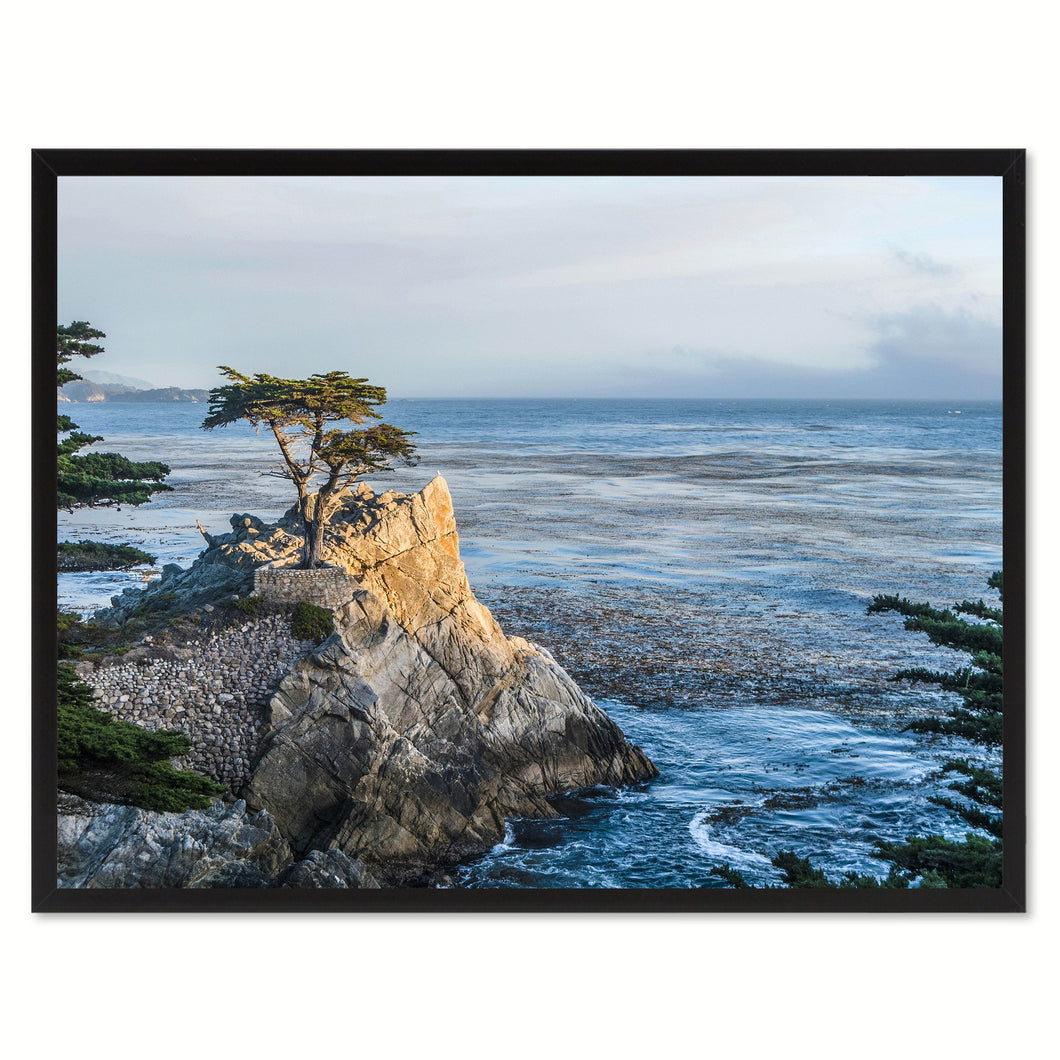 Monterey Cypress Tree Landscape Photo Canvas Print Pictures Frames Home Décor Wall Art Gifts
