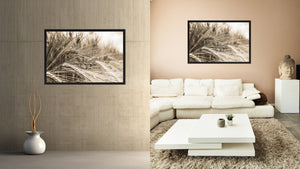 Nutritious Nature Barley Paddy Field Sepia Landscape decor, National Park, Sightseeing, Attractions, Black Frame