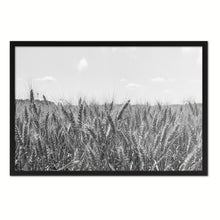 Load image into Gallery viewer, Wheat ears paddy full of grain, on the field Black and White Landscape decor, National Park, Sightseeing, Attractions, Black Frame
