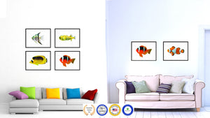 Red Tropical Fish Painting Reproduction Gifts Home Decor Wall Art Canvas Prints Picture Frames