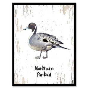 Northern Pintail Bird Canvas Print, Black Picture Frame Gift Ideas Home Decor Wall Art Decoration