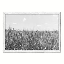 Load image into Gallery viewer, Wheat ears paddy full of grain, on the field Black and White Landscape decor, National Park, Sightseeing, Attractions, White Wash Wood Frame
