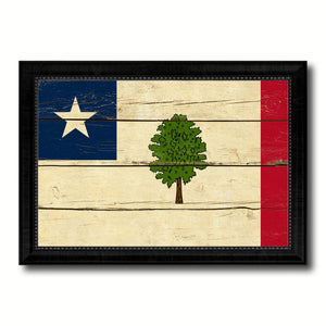 Magnolia City Mississippi State Vintage Flag Canvas Print Black Picture Frame