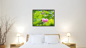 Pink Lotus Flower Framed Canvas Print Home Décor Wall Art