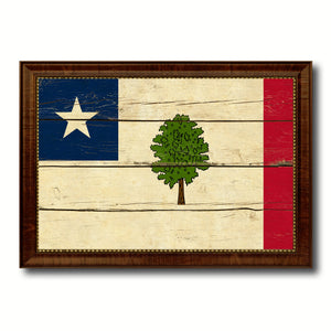 Magnolia City Mississippi State Vintage Flag Canvas Print Brown Picture Frame