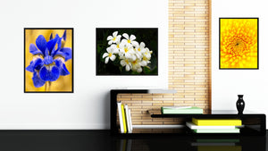 White Plumeria Flower Framed Canvas Print Home Décor Wall Art