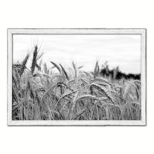 Load image into Gallery viewer, Nutritious Nature Grain Paddy Field Black and White Landscape decor, National Park, Sightseeing, Attractions, White Wash Wood Frame
