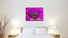 Load image into Gallery viewer, Purple Gazania Flower Framed Canvas Print Home Décor Wall Art
