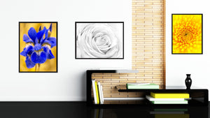 White Rose Flower Framed Canvas Print Home Décor Wall Art