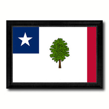 Load image into Gallery viewer, Magnolia City Mississippi State Flag Canvas Print Black Picture Frame
