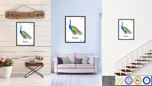 Peacock Bird Canvas Print, Black Picture Frame Gift Ideas Home Decor Wall Art Decoration