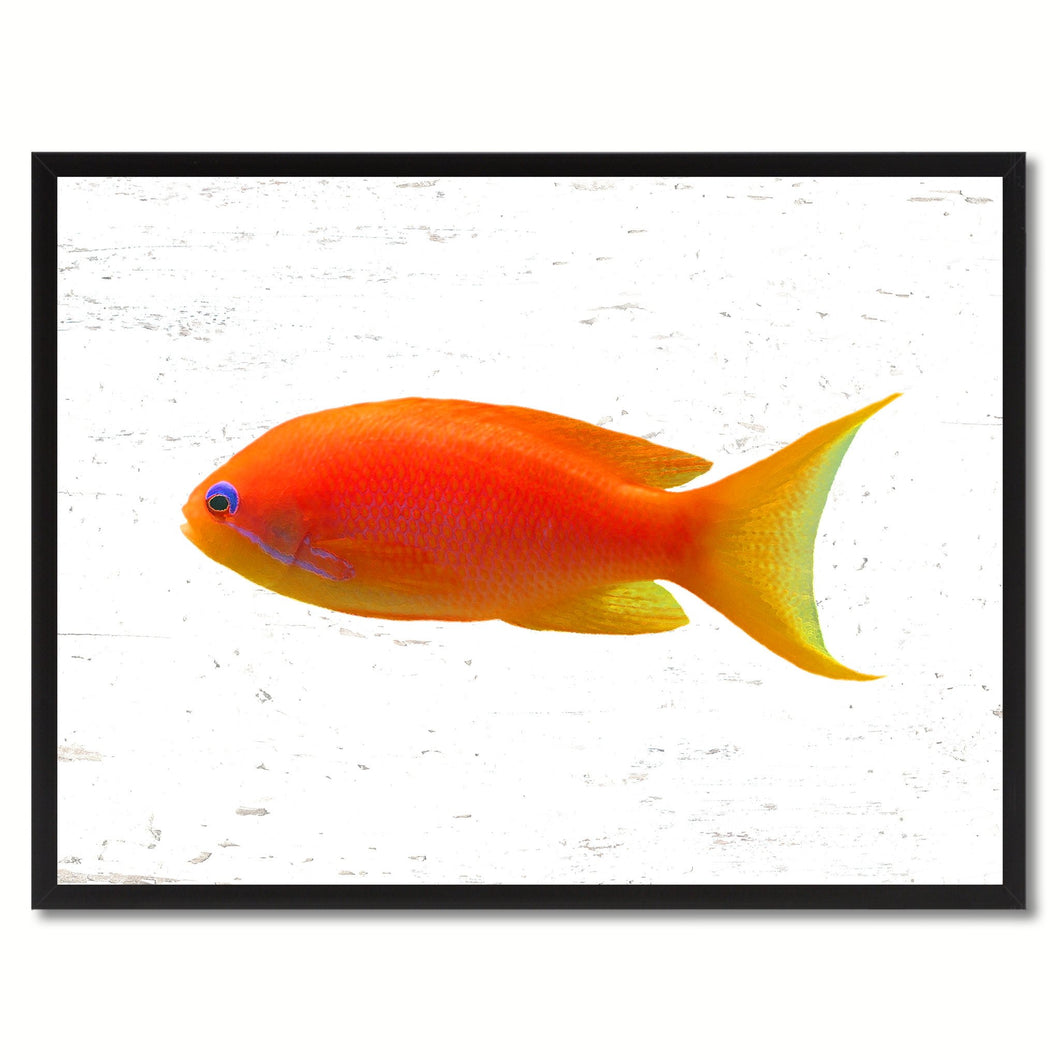 Orange Tropical Fish Painting Reproduction Gifts Home Decor Wall Art Canvas Prints Picture Frames