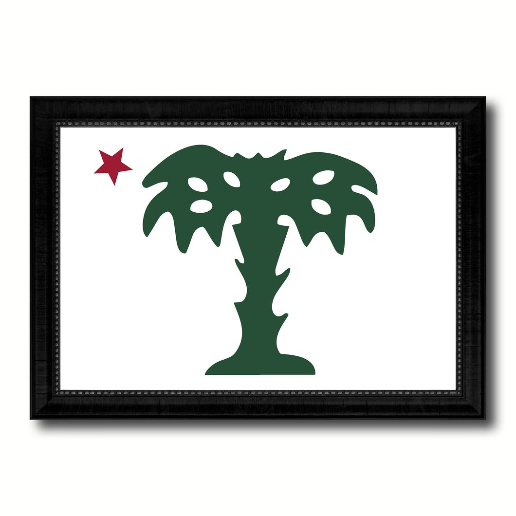 South Carolina Palmetto Guard Military Flag Canvas Print Black Picture Frame Gifts Home Decor Wall Art