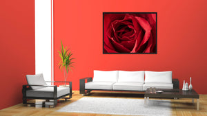 Red Rose Flower Framed Canvas Print Home Décor Wall Art