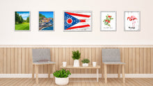Load image into Gallery viewer, Ohio State Flag Shabby Chic Gifts Home Decor Wall Art Canvas Print, White Wash Wood Frame
