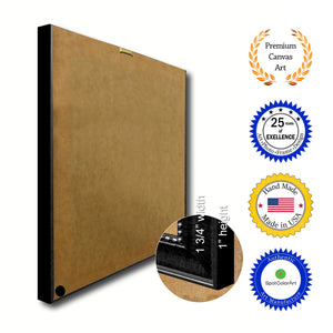 Washington DC Texture Flag Canvas Print Black Picture Frame