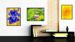 Pink Lotus Flower Framed Canvas Print Home Décor Wall Art