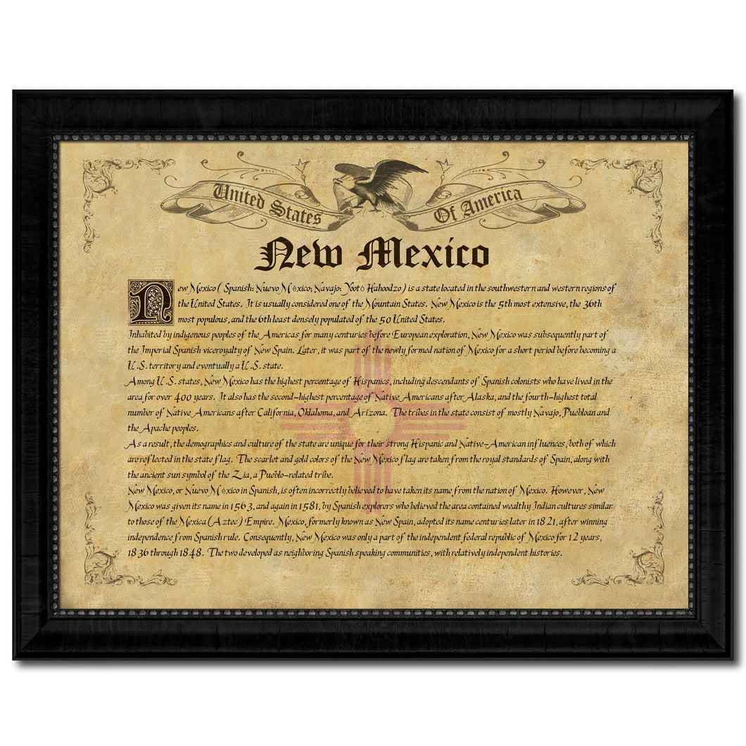 New Mexico Vintage History Flag Canvas Print, Picture Frame Gift Ideas Home Décor Wall Art Decoration