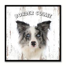 Load image into Gallery viewer, Border Collie Dog Canvas Print Picture Frame Gift Home Decor Wall Art Decoration
