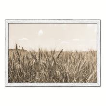 Load image into Gallery viewer, Wheat ears paddy full of grain, on the field Sepia Landscape decor, National Park, Sightseeing, Attractions, Black Frame
