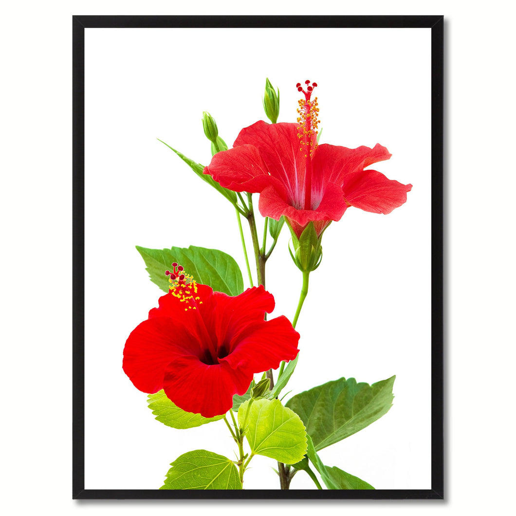 Red Hibiscus Flower Framed Canvas Print Home Décor Wall Art