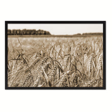 Load image into Gallery viewer, Barley paddy Sepia Landscape decor, National Park, Sightseeing, Attractions, Black Frame
