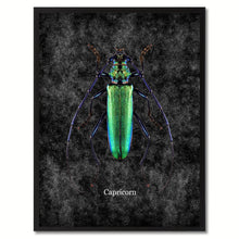 Load image into Gallery viewer, Capricorn Black Canvas Print, Picture Frames Home Decor Wall Art Gifts
