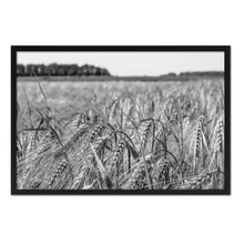 Load image into Gallery viewer, Barley paddy Black and White Landscape decor, National Park, Sightseeing, Attractions, Black Frame
