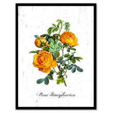 Load image into Gallery viewer, Yellow Rose Flower Canvas Print with Picture Frame Floral Home Decor Wall Art Living Room Decoration Gifts
