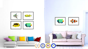 Aqua Tropical Fish Painting Reproduction Gifts Home Decor Wall Art Canvas Prints Picture Frames