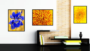 Yellow Chrysanthemum Flower Framed Canvas Print Home Décor Wall Art