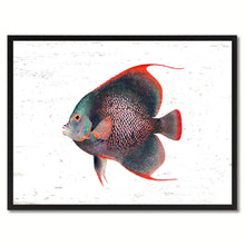 Load image into Gallery viewer, Red Angel Tropical Fish Painting Reproduction Gifts Home Decor Wall Art Canvas Prints Picture Frames
