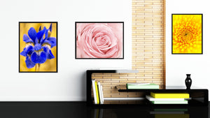 Pink Rose Flower Framed Canvas Print Home Décor Wall Art