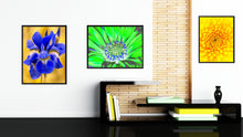Load image into Gallery viewer, Green Gazania Flower Framed Canvas Print Home Décor Wall Art
