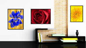 Red Rose Flower Framed Canvas Print Home Décor Wall Art