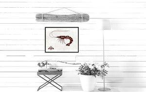 Shrimp Meat Cuts Butchers Chart Canvas Print Picture Frame Home Decor Wall Art Gifts