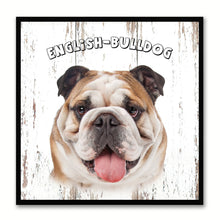 Load image into Gallery viewer, English Bulldog Dog Canvas Print Picture Frame Gift Home Decor Wall Art Decoration
