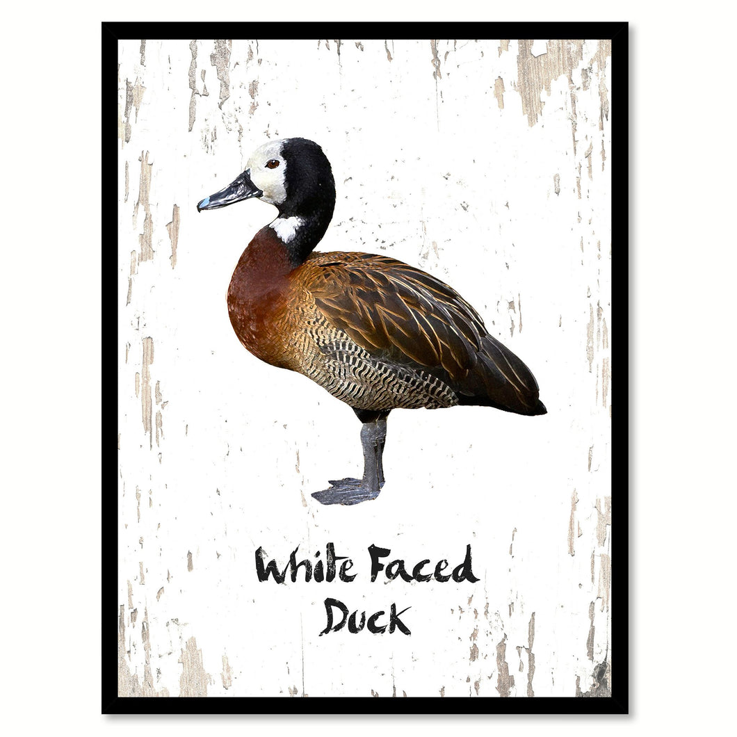 White Faced Duck Bird Canvas Print, Black Picture Frame Gift Ideas Home Decor Wall Art Decoration